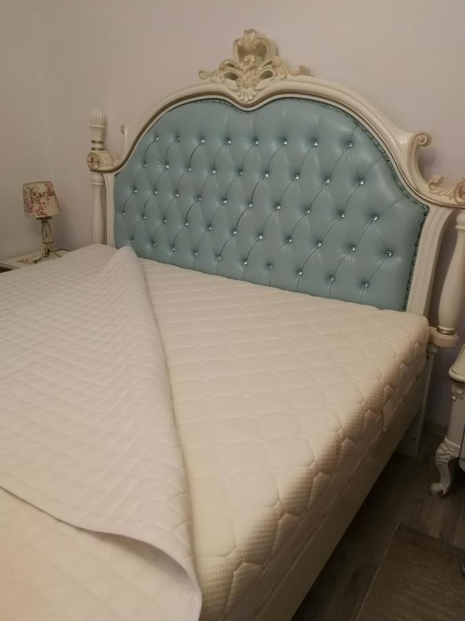 Sîntandrei Sia & Sophie 'S House 빌라 외부 사진