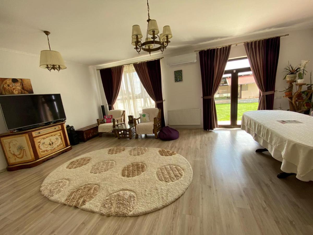 Sîntandrei Sia & Sophie 'S House 빌라 외부 사진