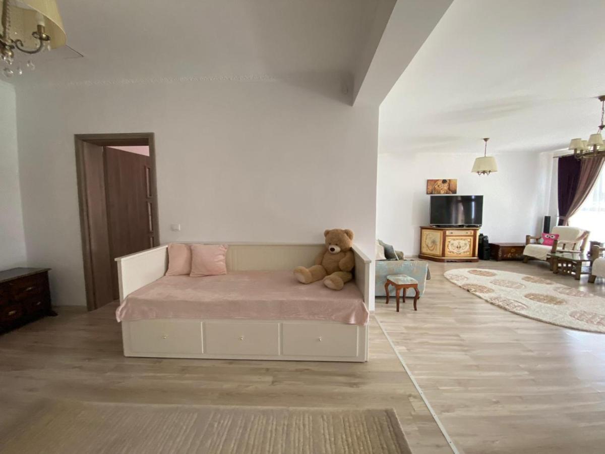Sîntandrei Sia & Sophie 'S House 빌라 외부 사진