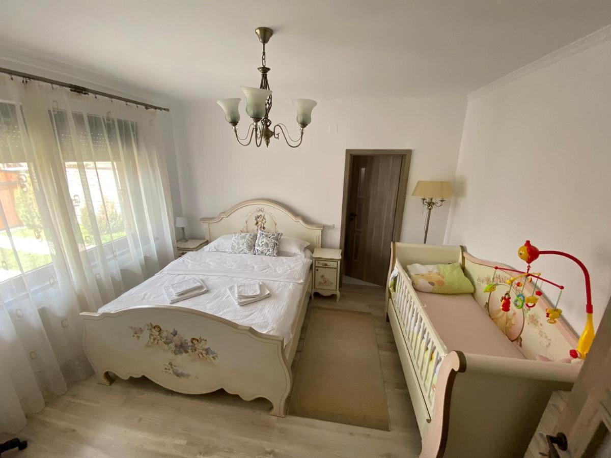 Sîntandrei Sia & Sophie 'S House 빌라 외부 사진