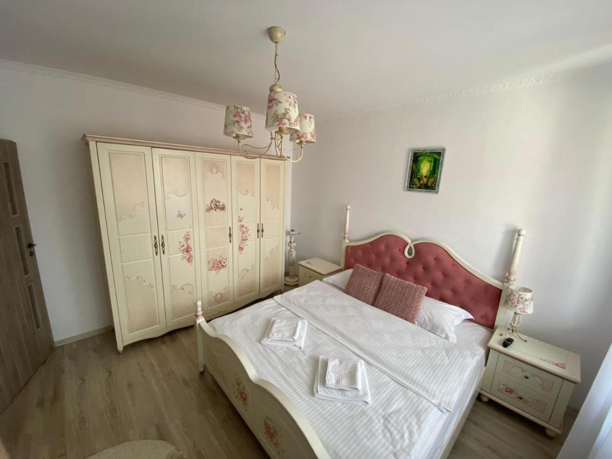 Sîntandrei Sia & Sophie 'S House 빌라 외부 사진