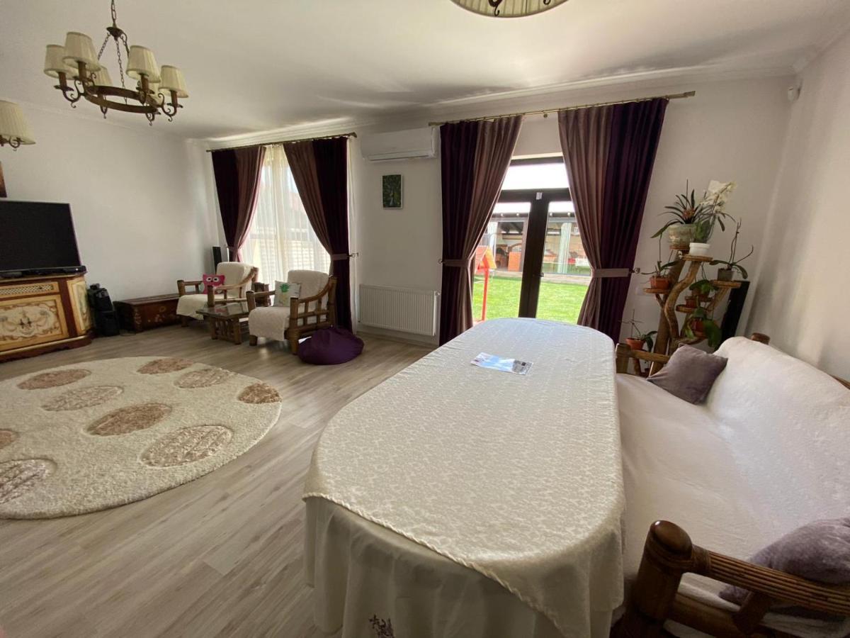 Sîntandrei Sia & Sophie 'S House 빌라 외부 사진
