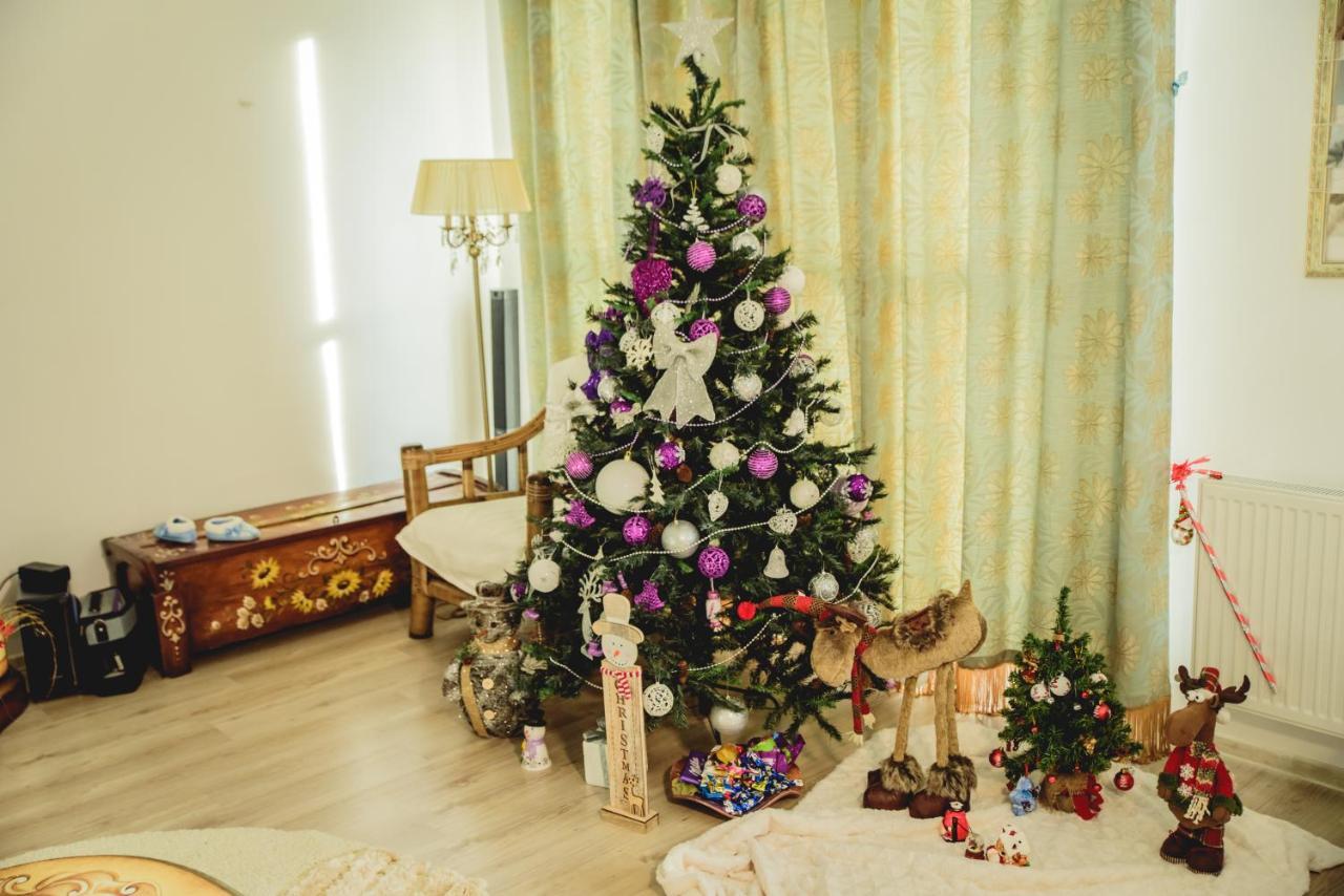 Sîntandrei Sia & Sophie 'S House 빌라 외부 사진